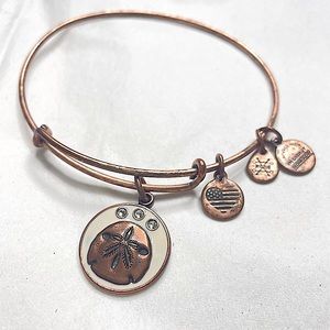 Alex & Ani Bangle.